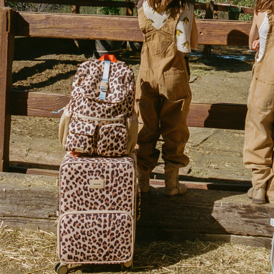 Logan Carry-On Suitcase