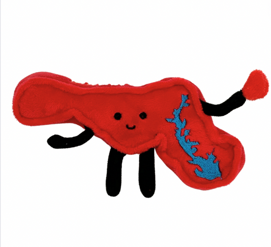 Maryland Mini Stuffed Magnet – 4-Inch Collectible | Stuffed States USA
