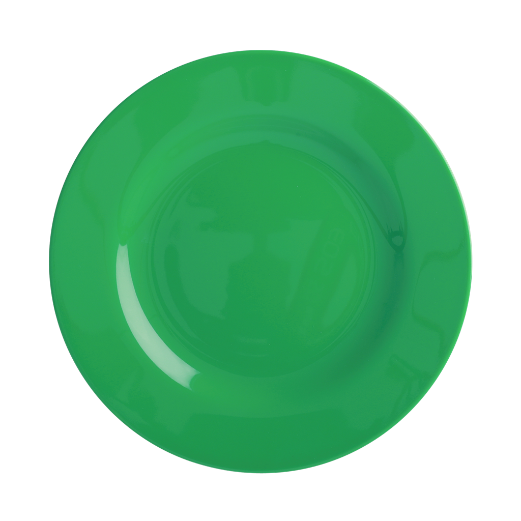 Melamine Lunch Plate | Forest Green
