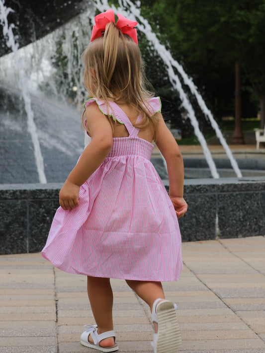 Turtle Girls Dress Pink Stripe Ruffle Strap