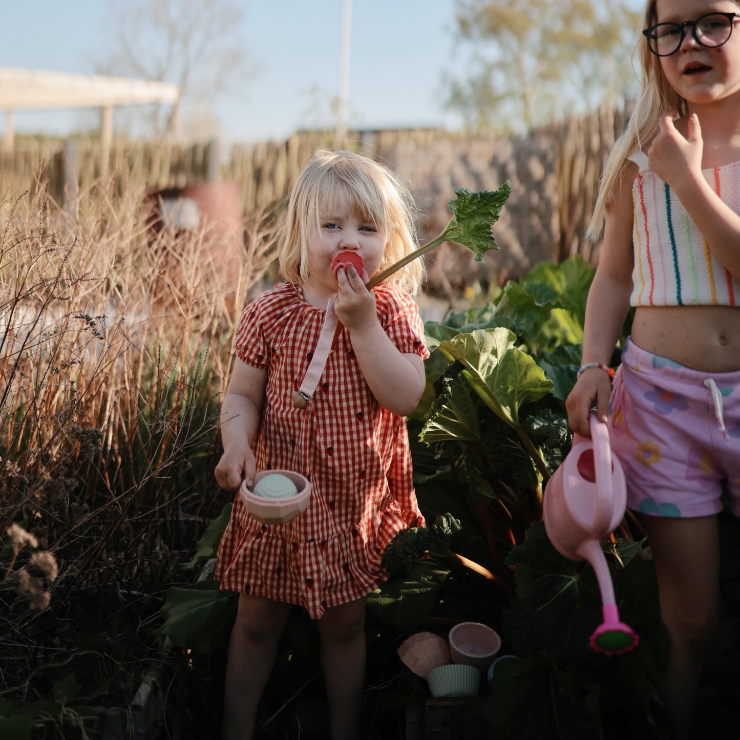 Nesting Spheres Sensory Toy