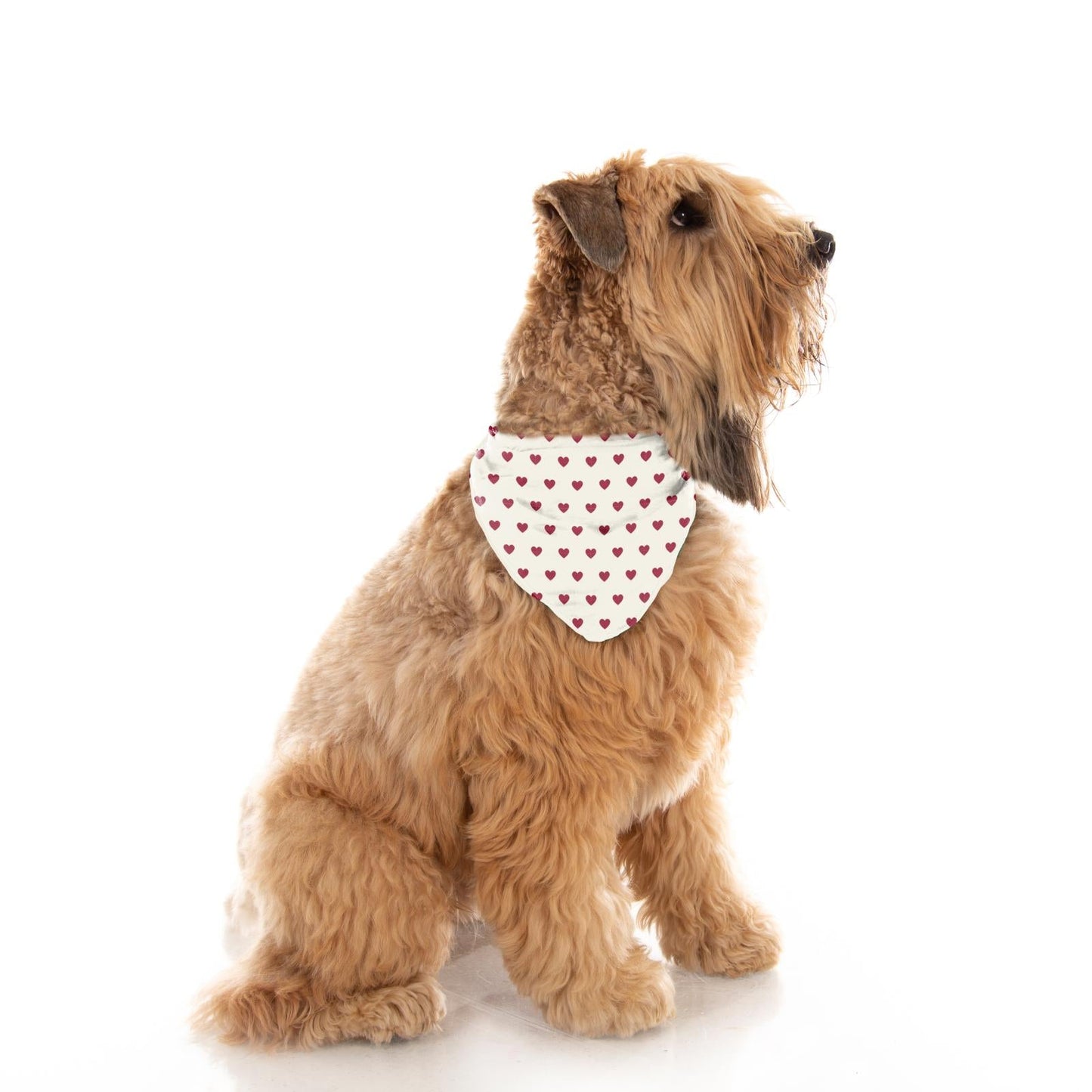 Print Dog Bandana in Natural Hearts
