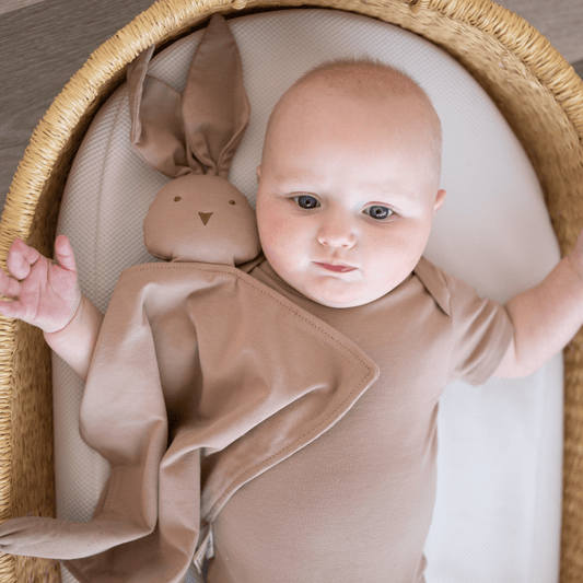 Organic Cotton Bunny Lovey – Mocha