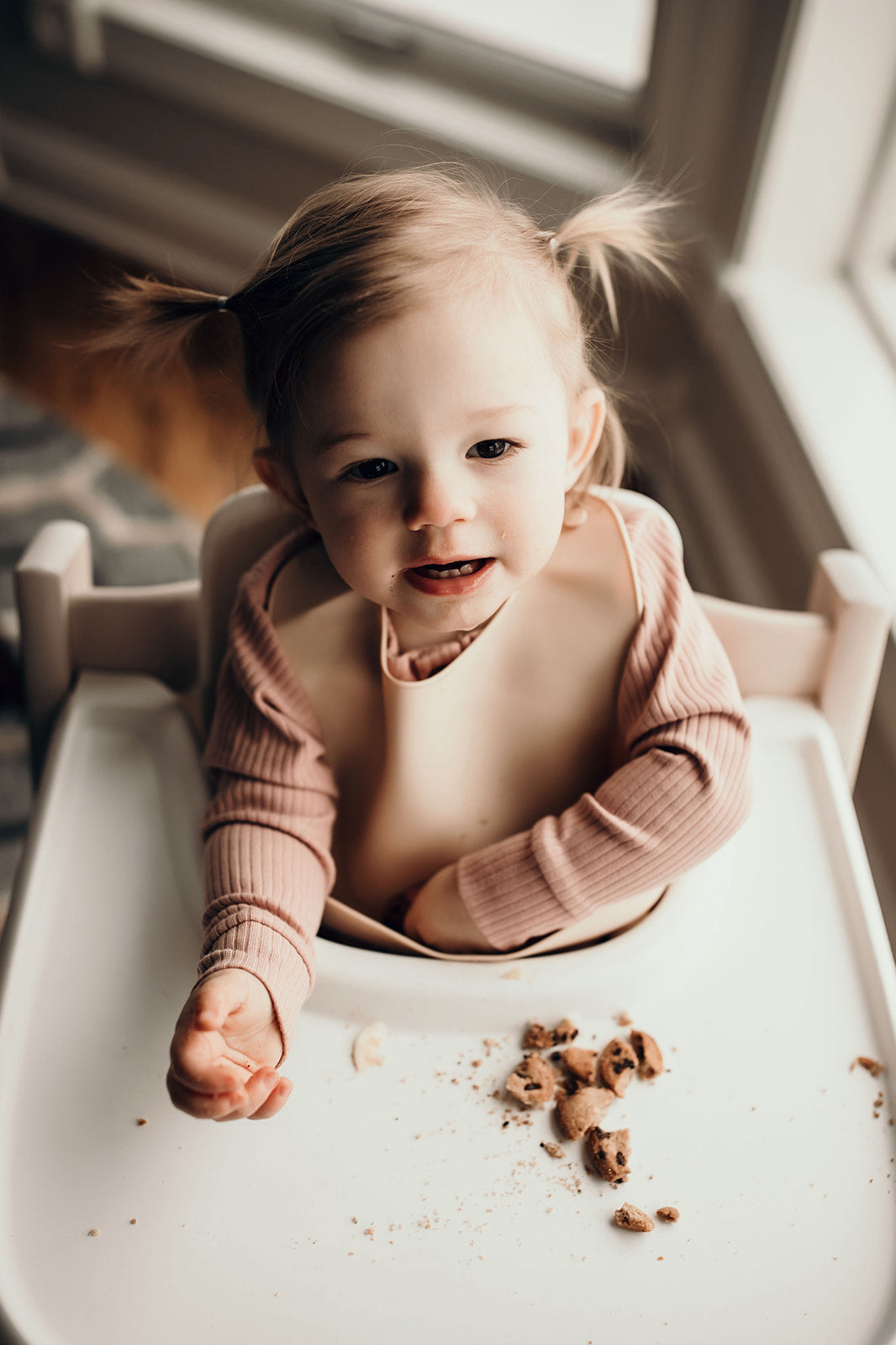 Sugar Cookie Silicone Bib with Crumb Catcher