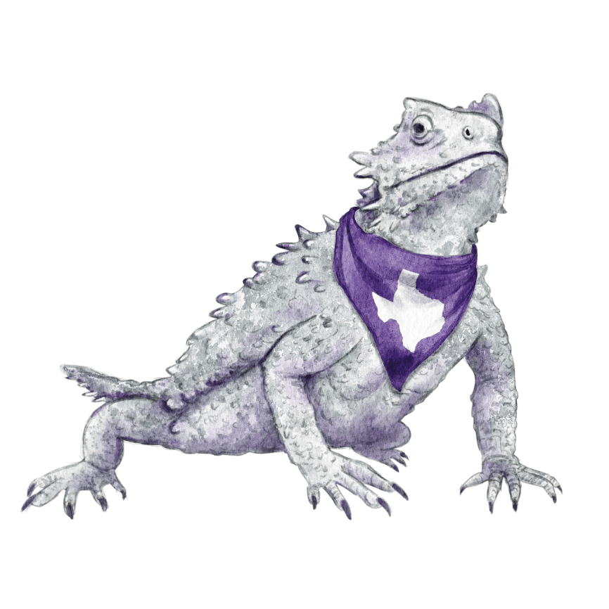Purple Horned Frog Acrylic