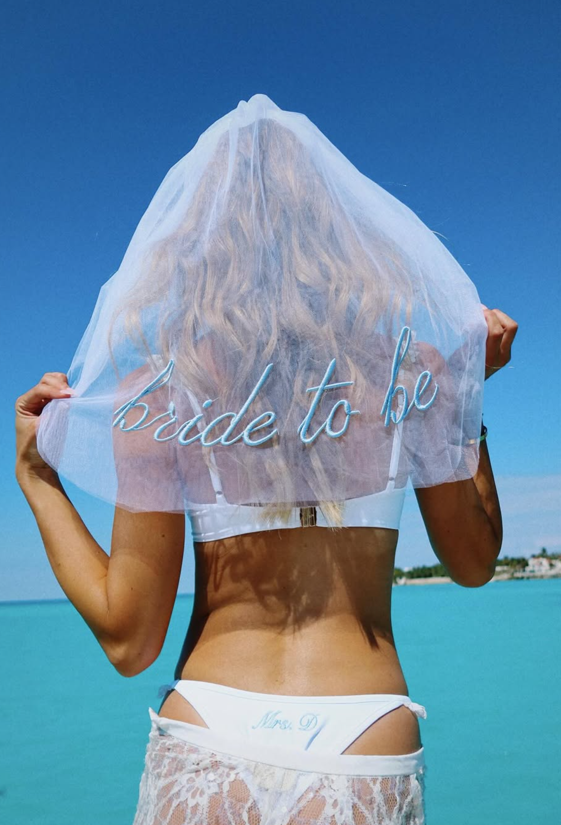 Something Blue Veil - embroidered tulle veil