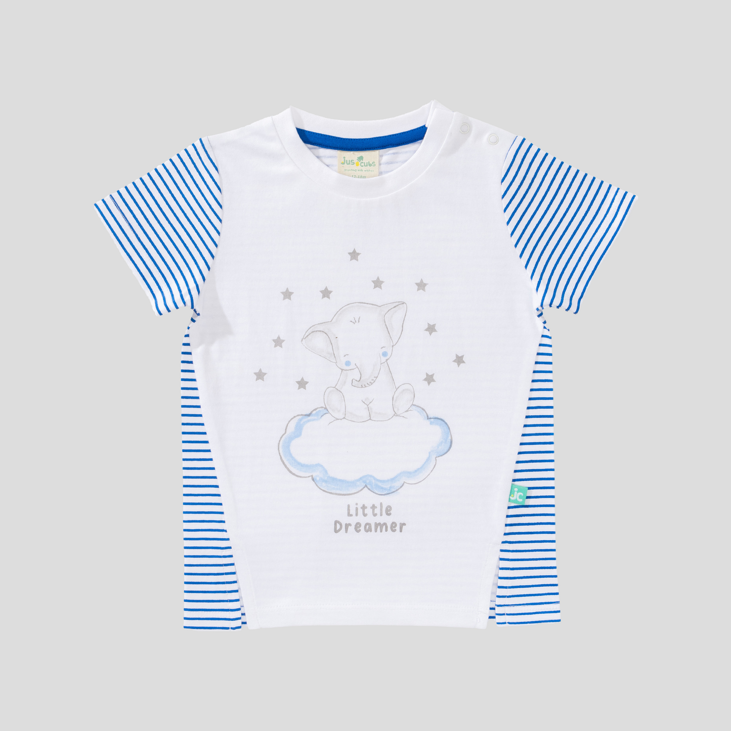 Elephant Printed Tee and Shorts Set for Toddler Boys
