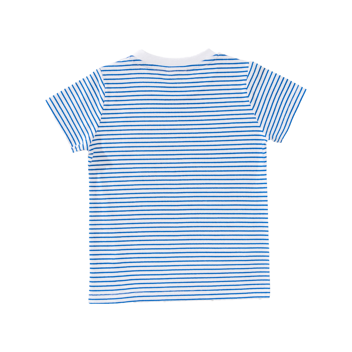Elephant Printed Tee and Shorts Set for Toddler Boys
