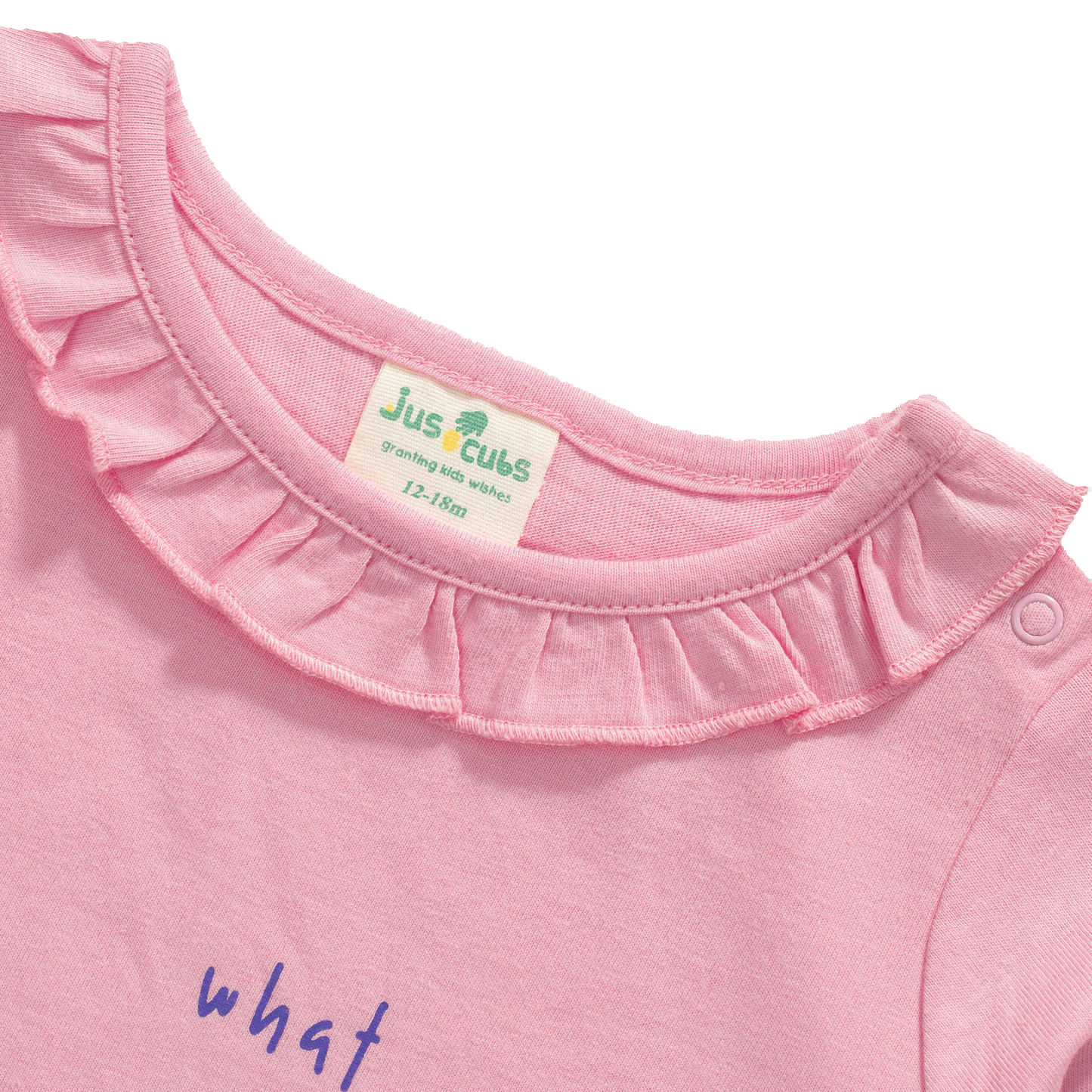 Ruffle Full-Sleeve Garden Pink T-Shirt for Toddler Girls