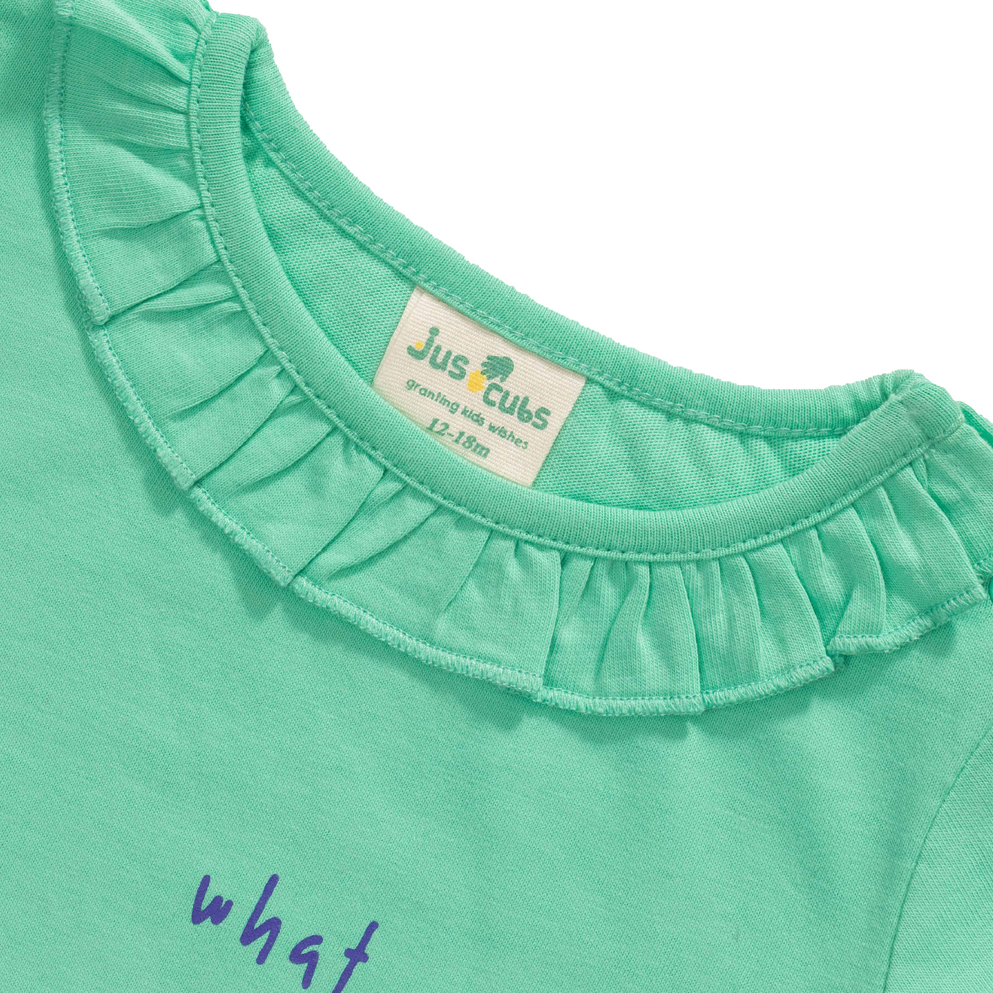 Ruffle Full Sleeve Garden Mint T-Shirt for Toddler Girls