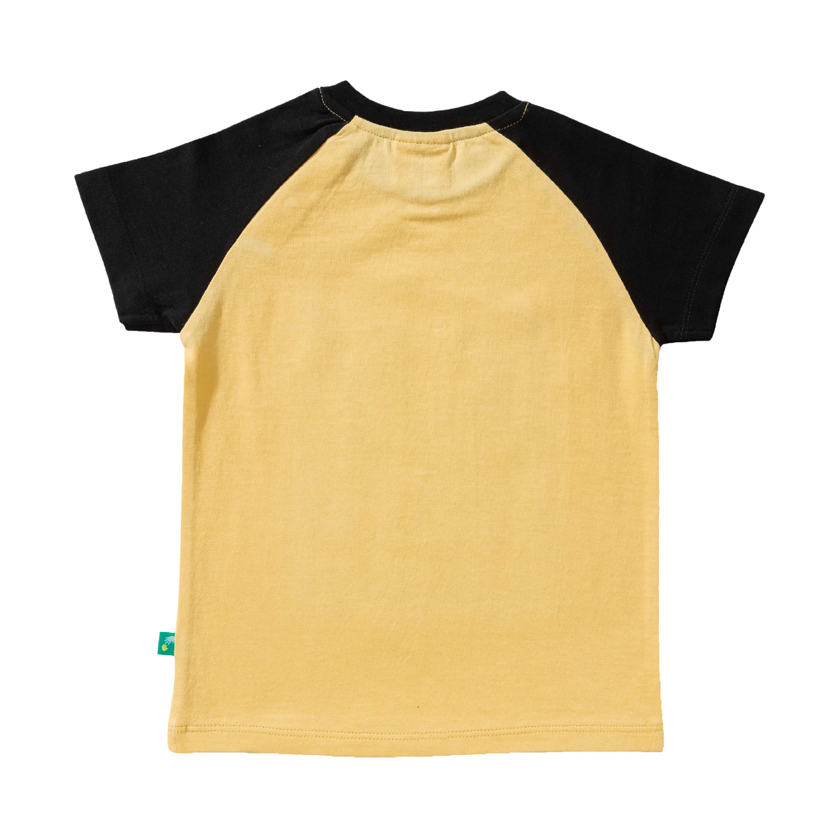 Raglan Half Sleeve T-Shirt Pack of 2 for Toddler Boys