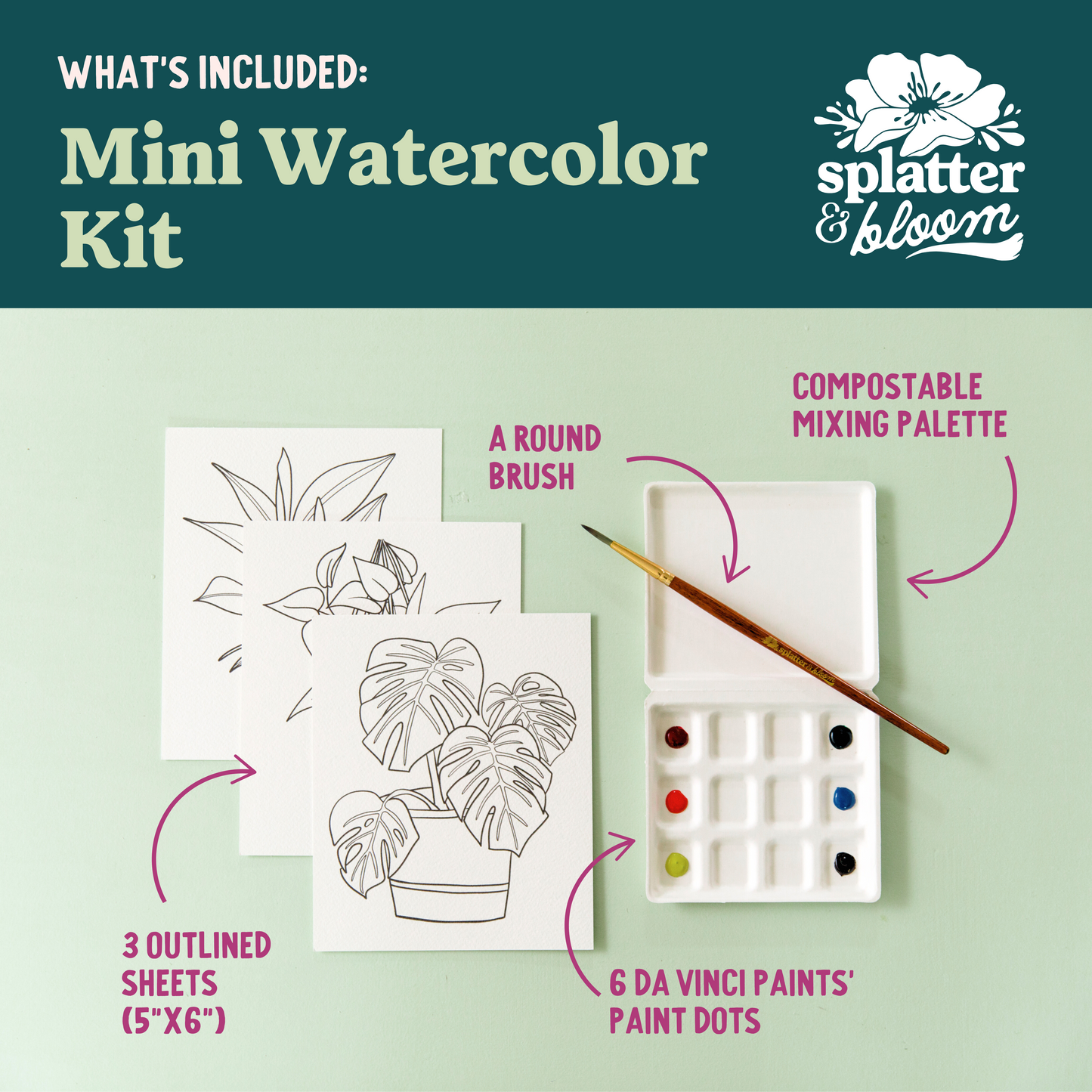 Buggy Beetles Watercolor Painting Kit - (Mini)