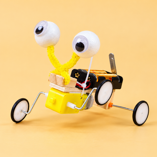 Bug Robot DIY Kit, Educational STEM Toy