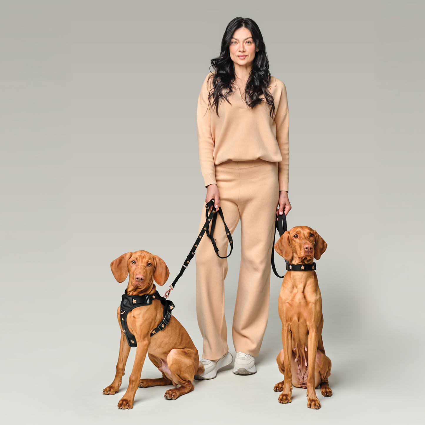 The NoMad Adjustable Luxe Harness - Rockstar