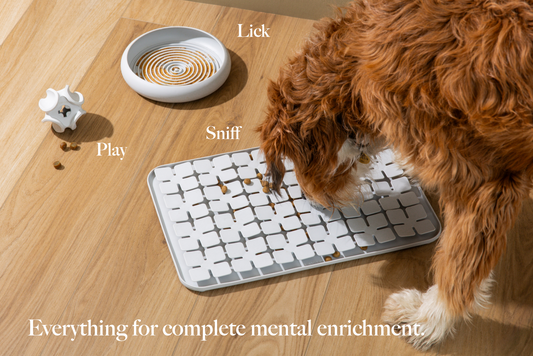 LAY LO Dog Enrichment Starter Bundle & Gift Box