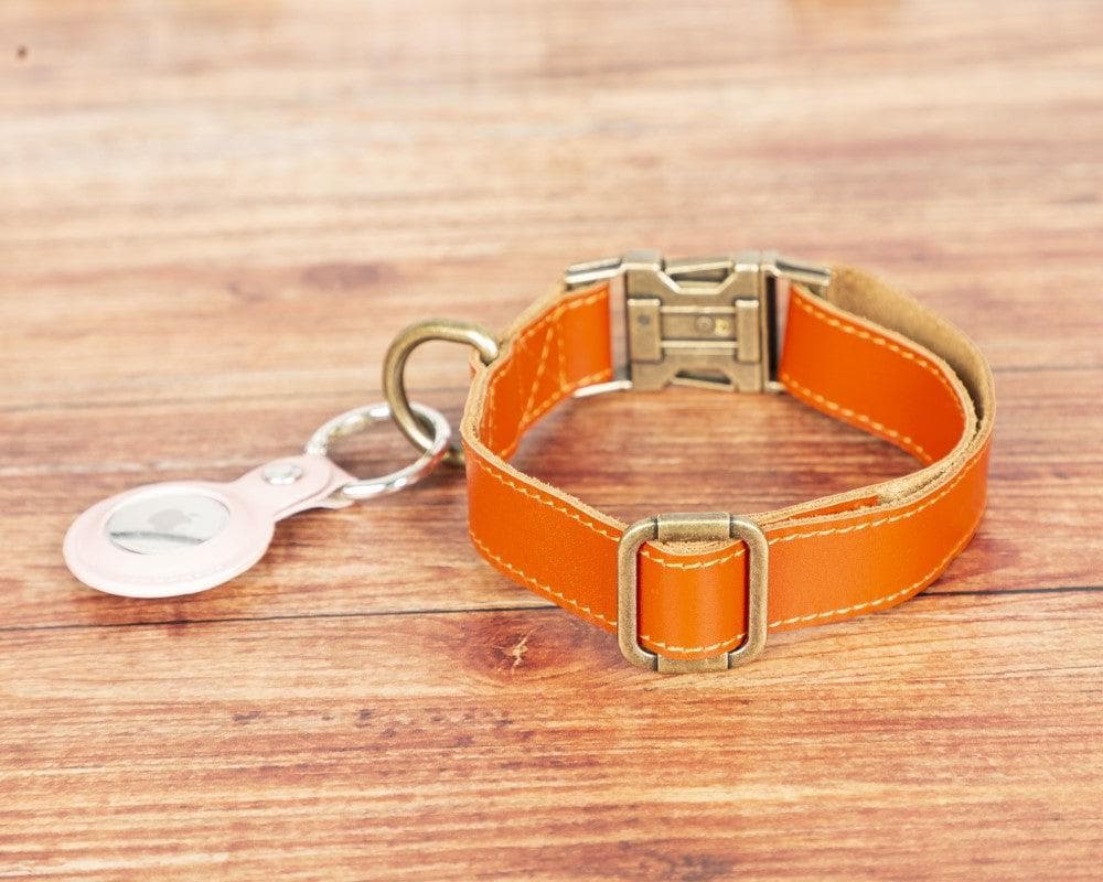 Scooby Leather Dog Collar