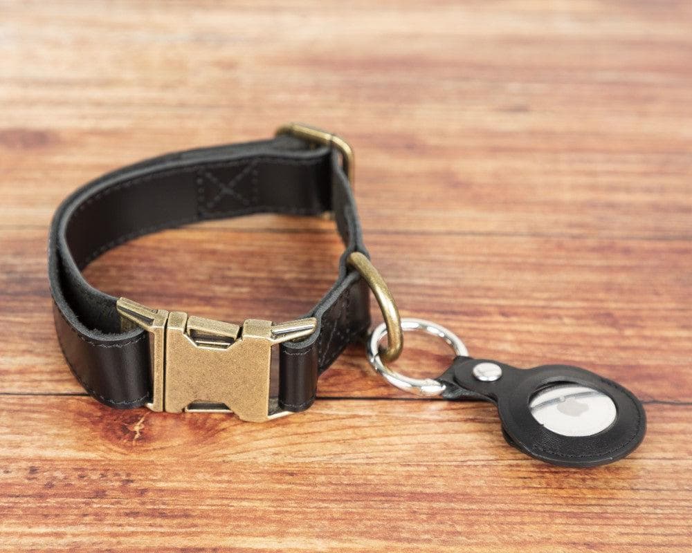 Scooby Leather Dog Collar