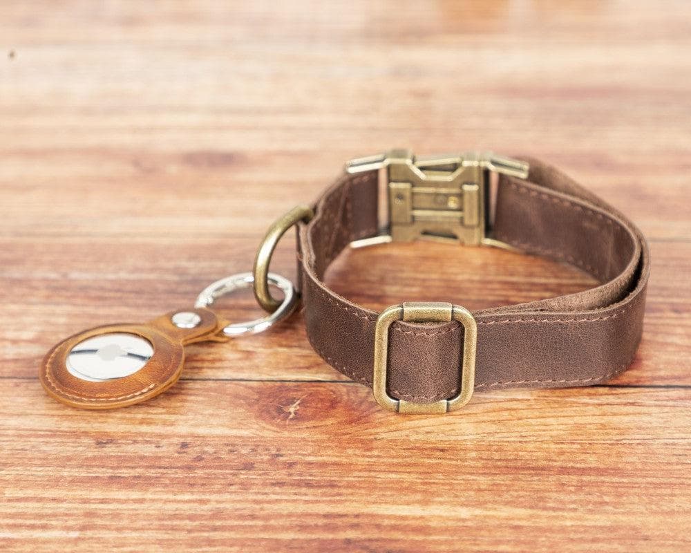 Scooby Leather Dog Collar
