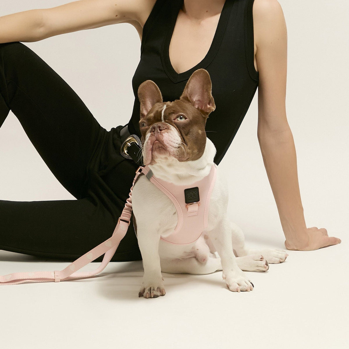 3-in-1 City Dog Leash - Blush