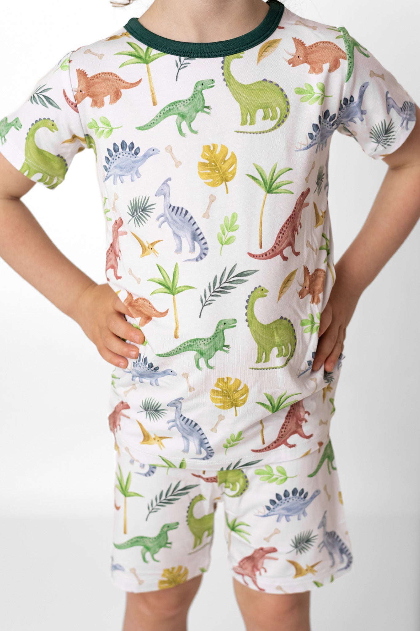 Dinosaur Land | Two-Piece Bamboo Short Sleeve Toddler & Kids Apparel Set