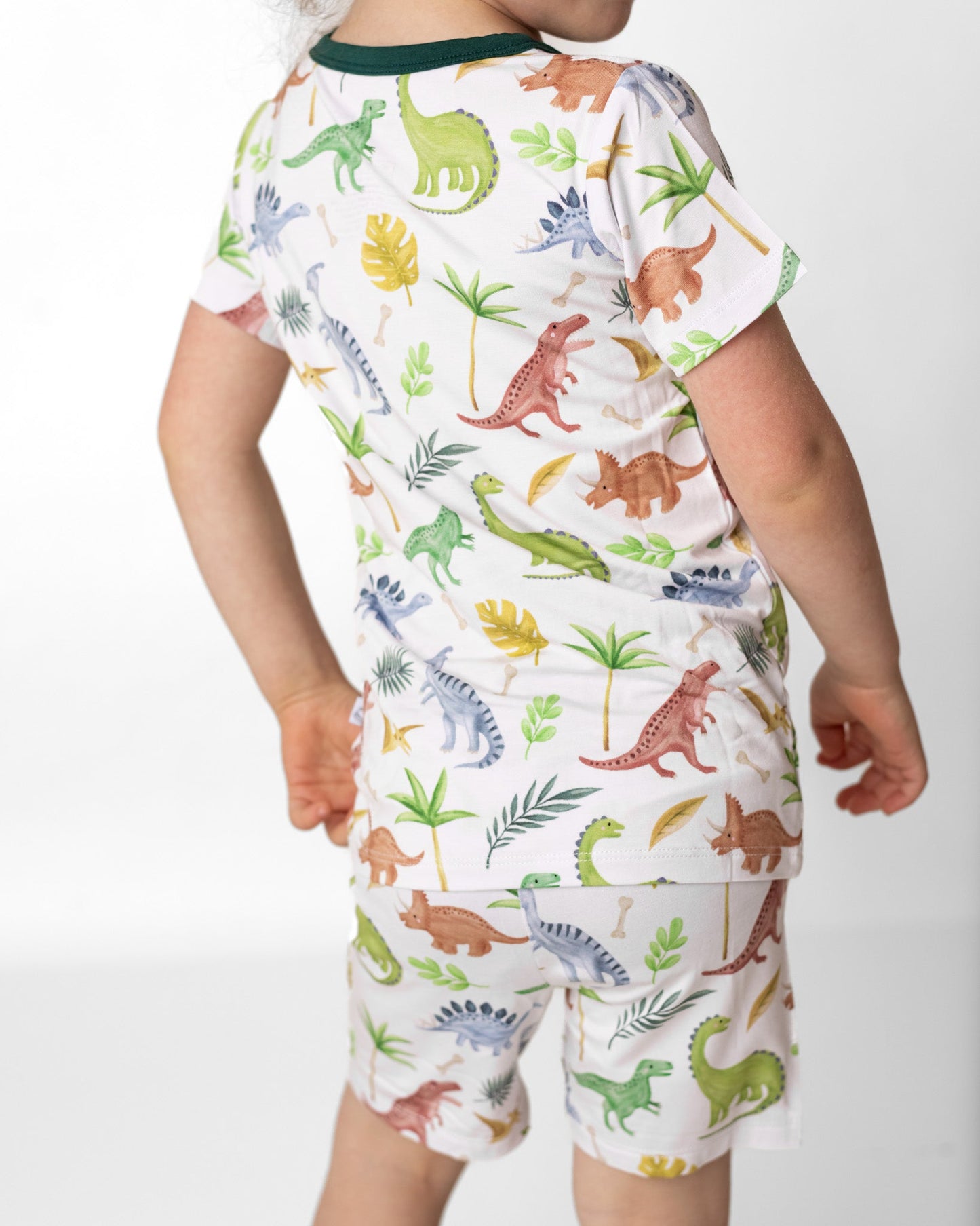 Dinosaur Land | Two-Piece Bamboo Short Sleeve Toddler & Kids Apparel Set
