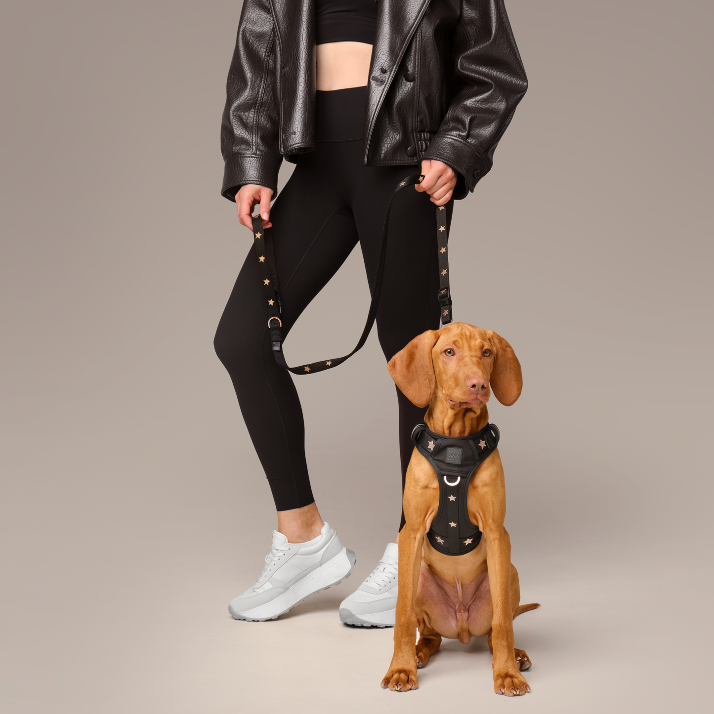 The NoMad Adjustable Luxe Harness - Rockstar