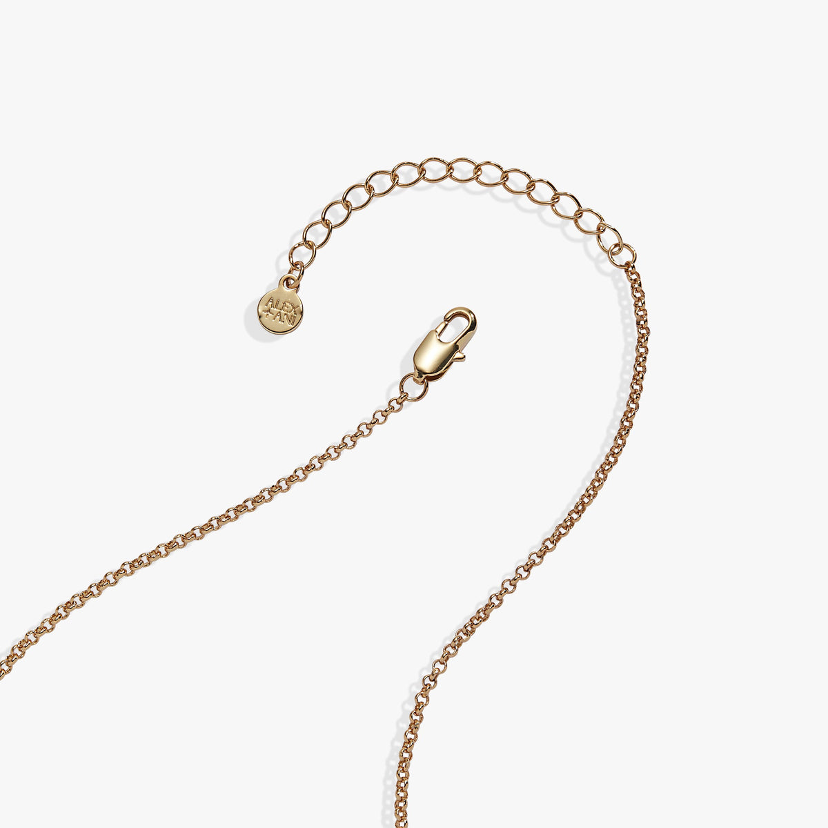 'A Reader Lives A Thousand Lives' Book Club Locket Pendant