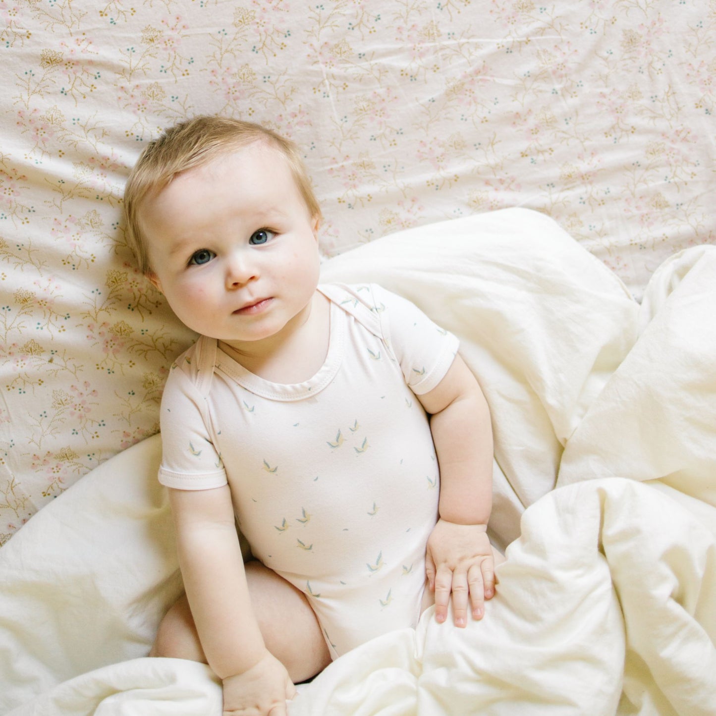 Baby Boy Short Sleeve Onesies