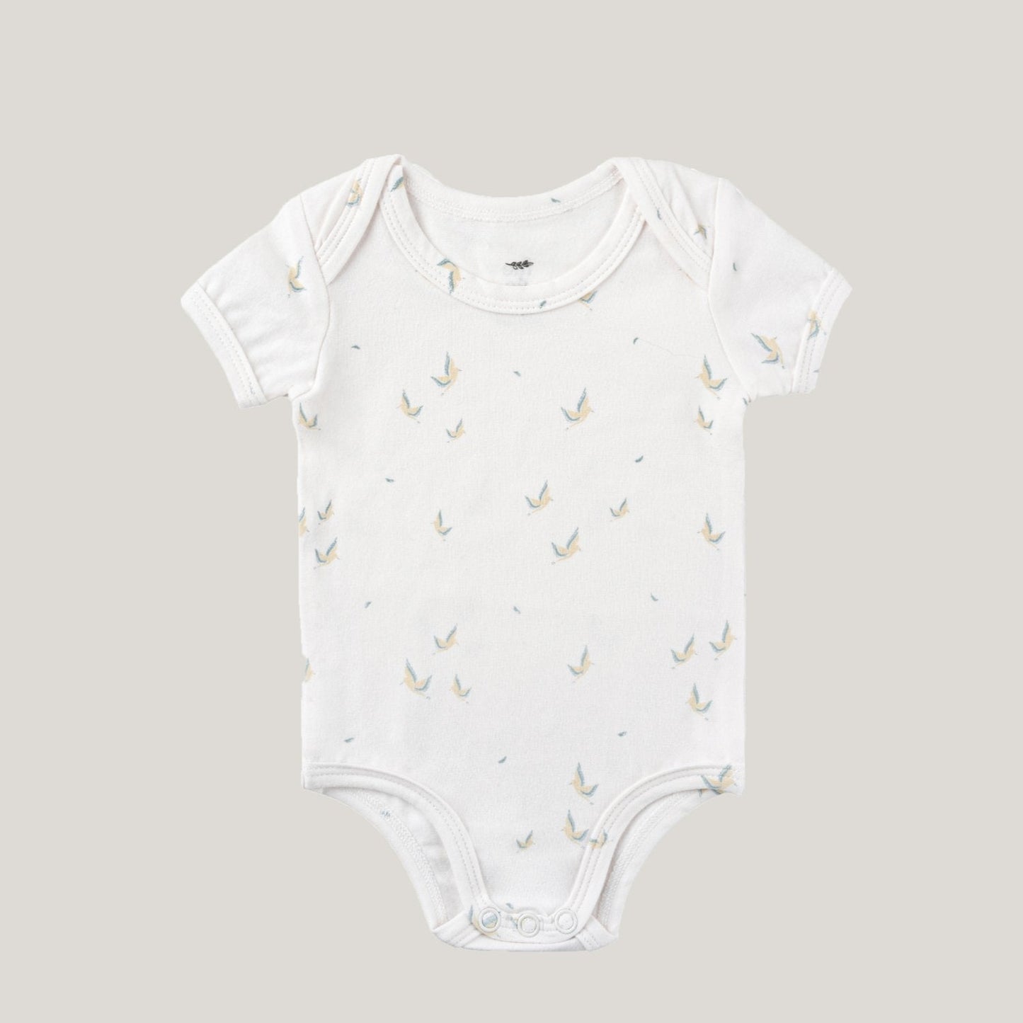 Baby Boy Short Sleeve Onesies
