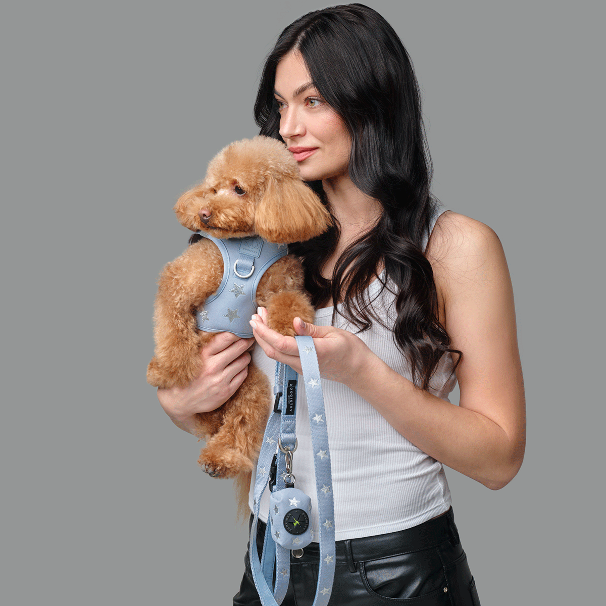 Poop Bag Holder - Rockstar Hudson