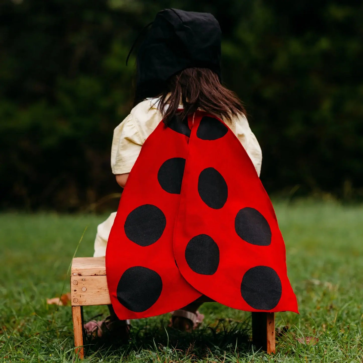 Ladybug Costume Wings