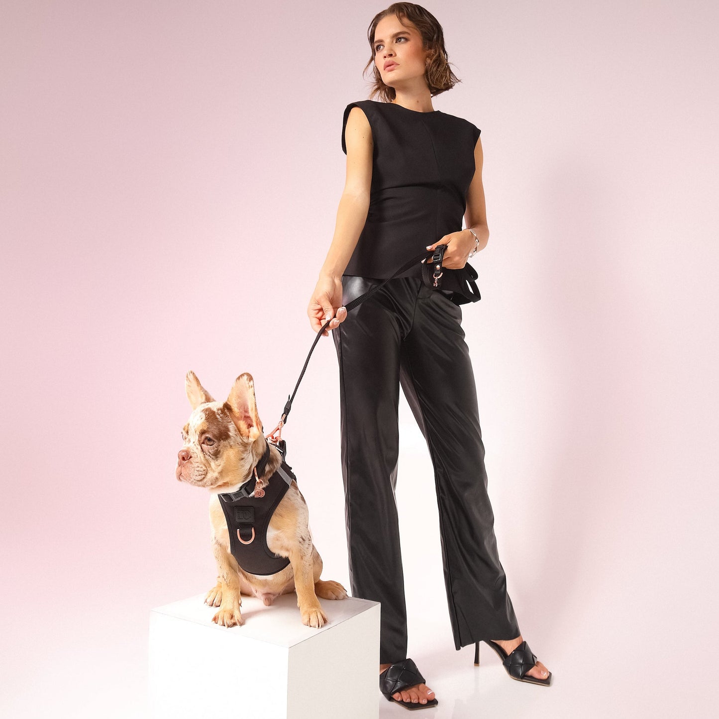 SoHo Dog Harness - Black