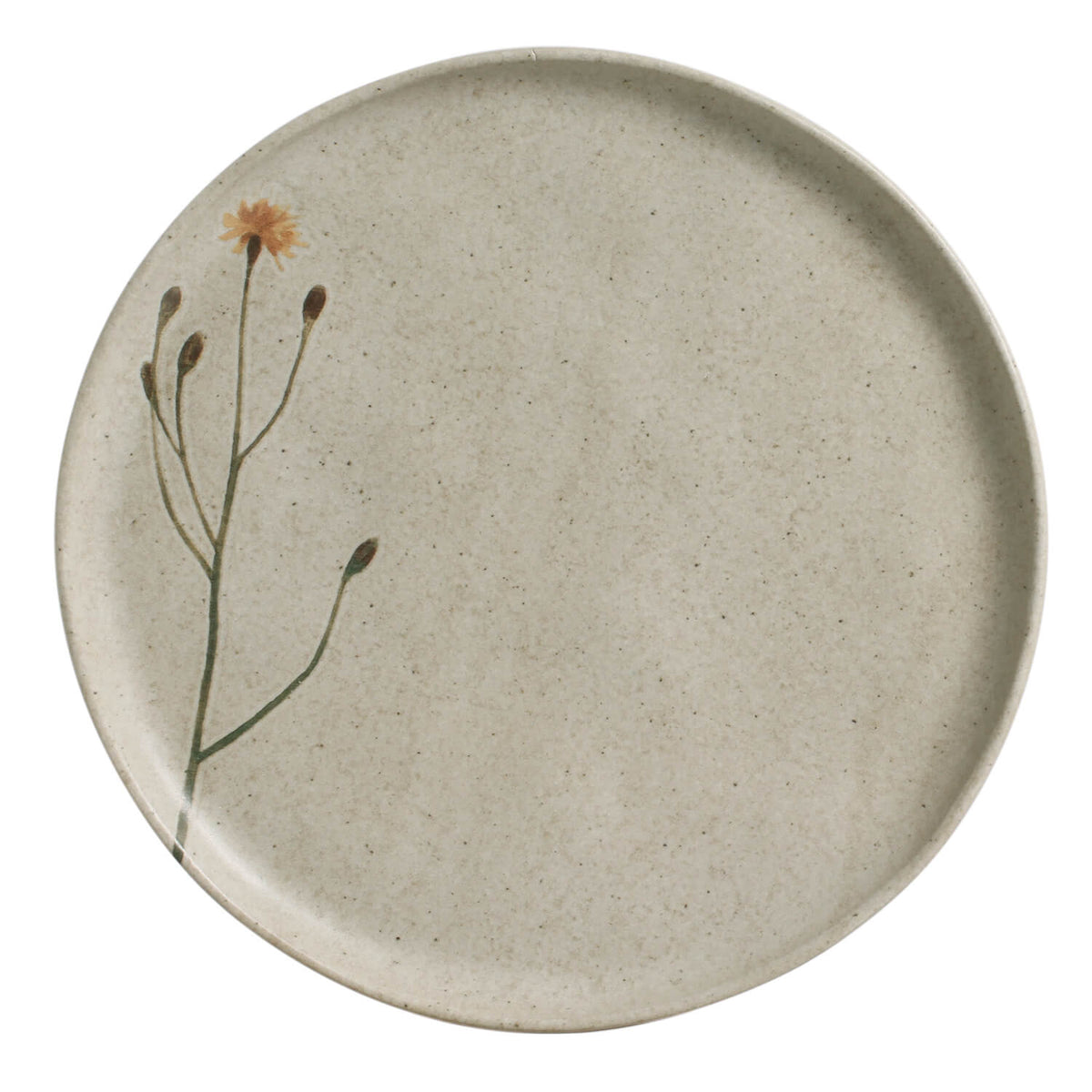 20 Pc. Dinnerware Set
