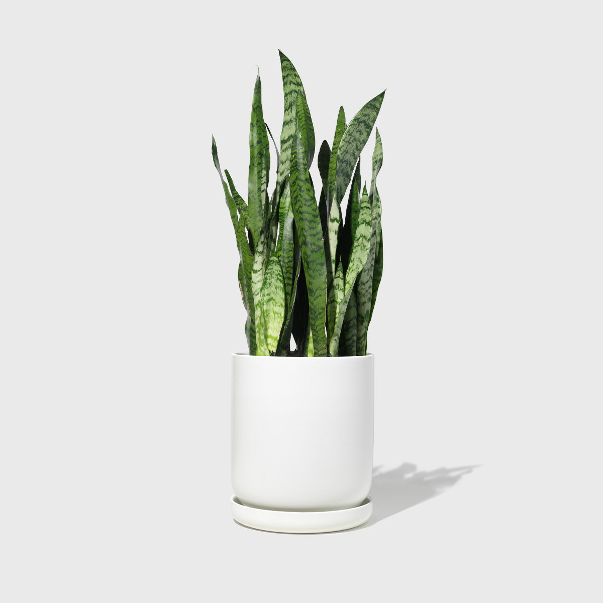Large Stoneware Planter