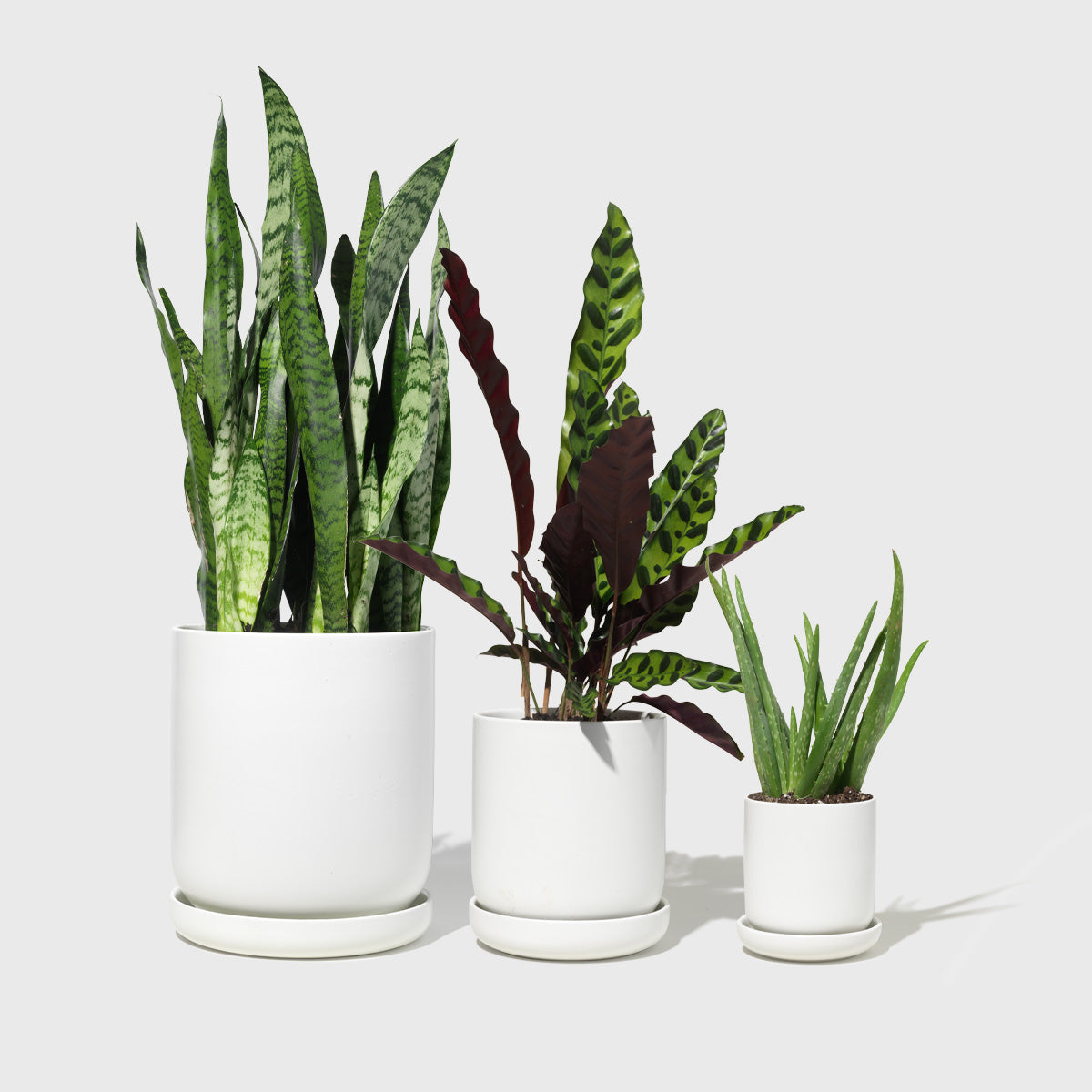 Assorted Stoneware Planters