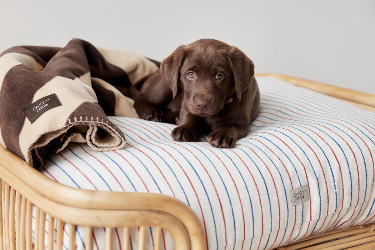 Kaya Dog Blanket Black - Large