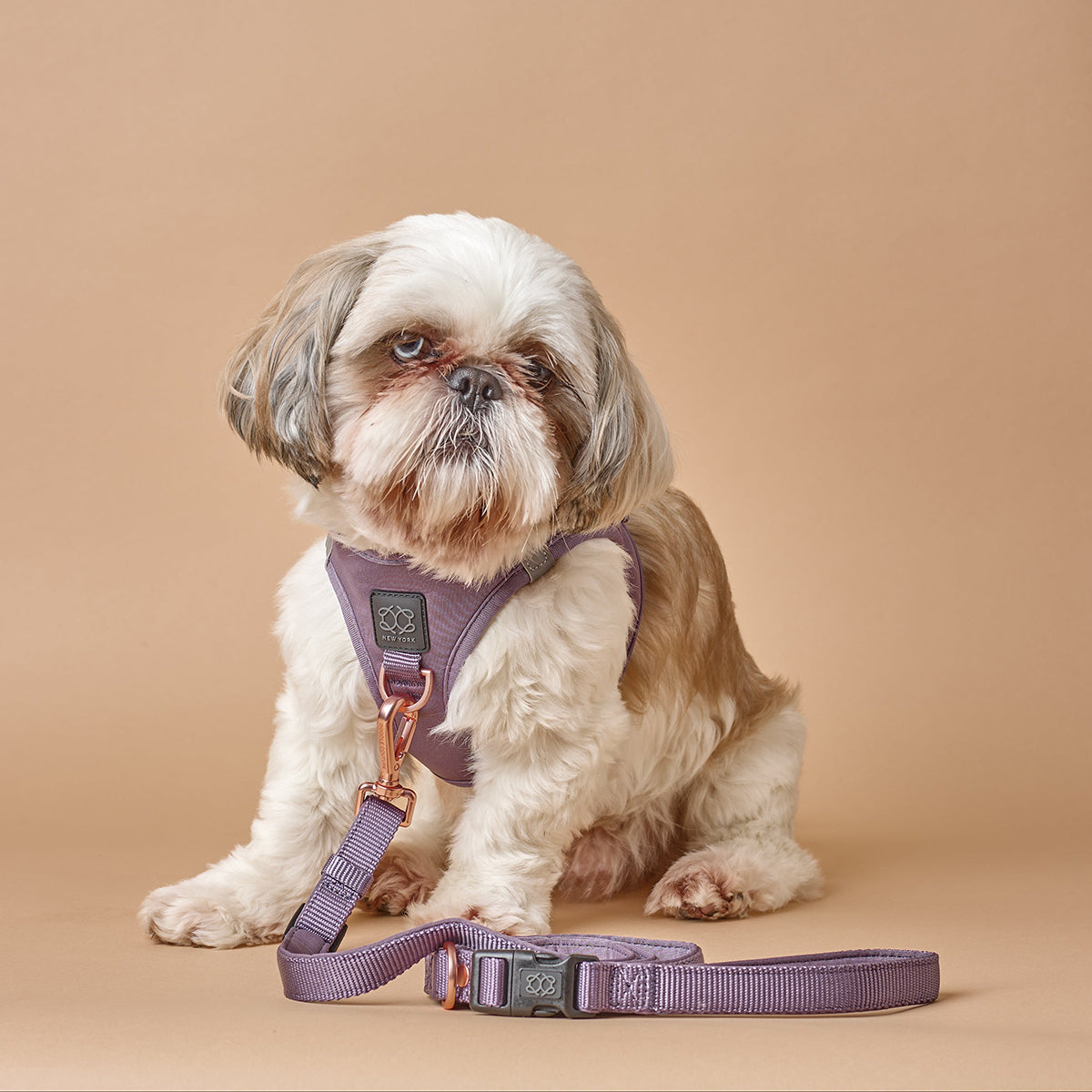 3-in-1 City Dog Leash - Lilac Gray