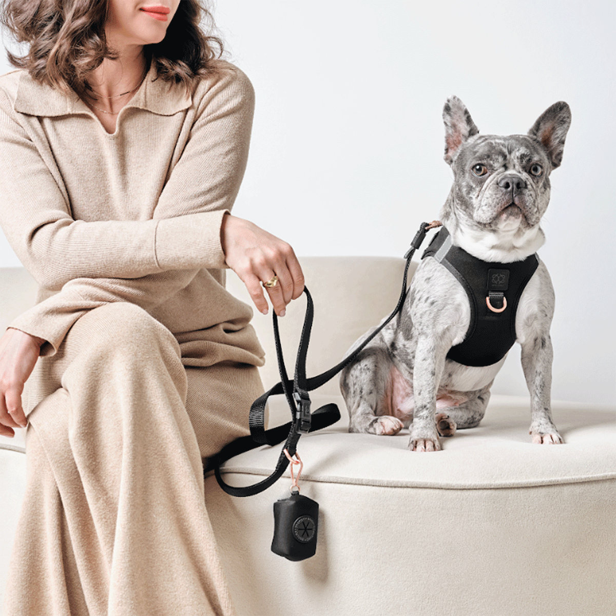 SoHo Dog Harness - Black