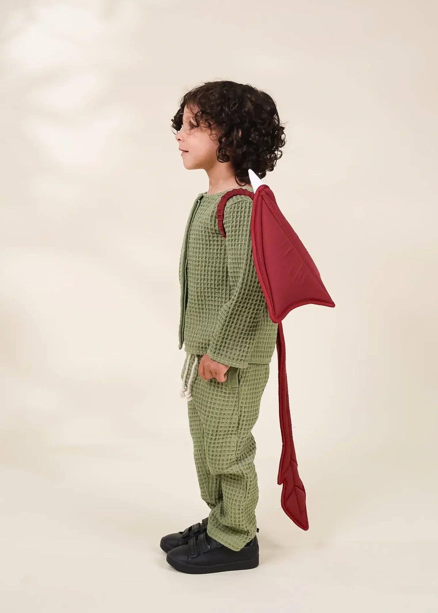 Role Play Dress-Up Quilted Dragon Wings