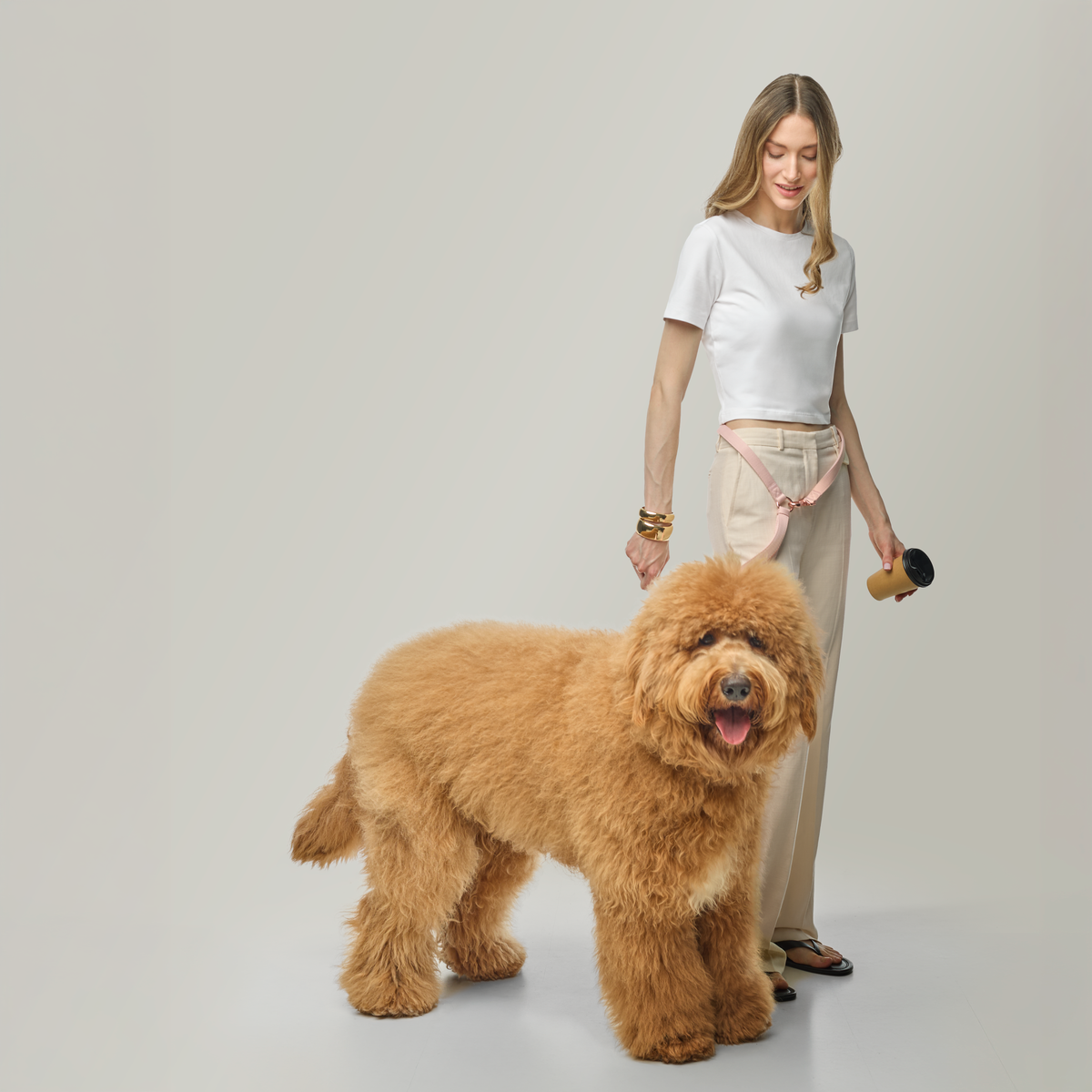 Metro Hands Free Leash – Blush