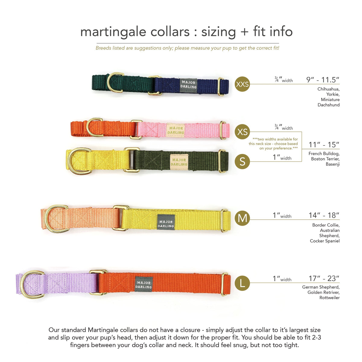 Martingale Dog Collar