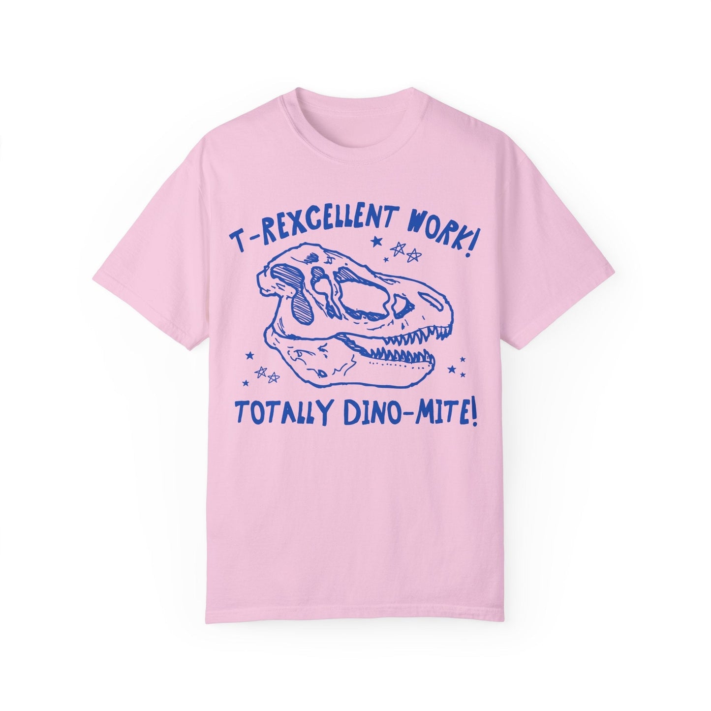 Dinosaur Teacher Tee Shirt