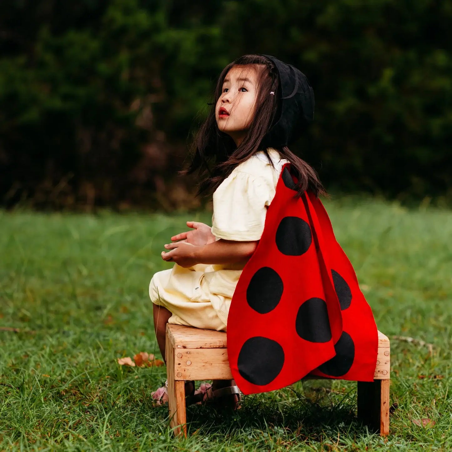 Ladybug Costume Wings