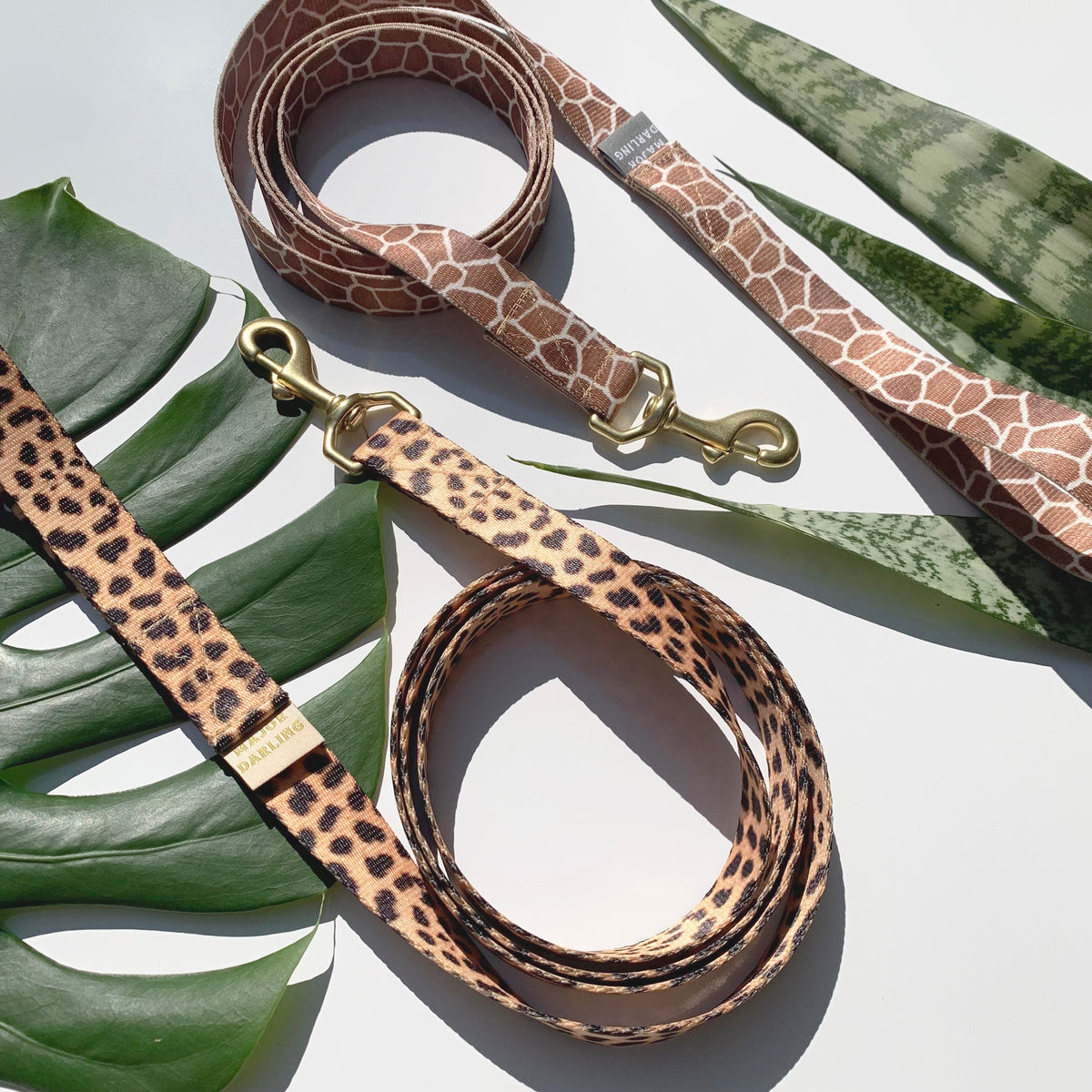 Martingale Dog Collar – Leopard / Peach