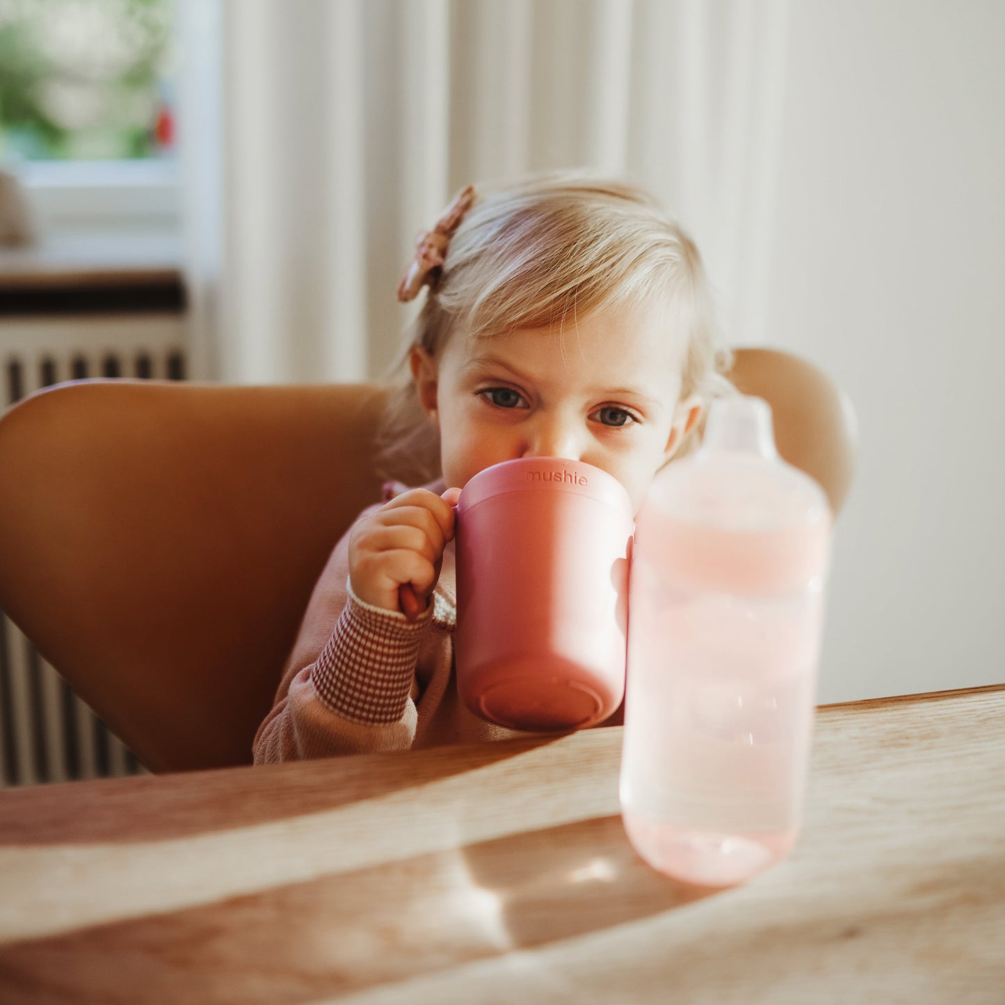 Trainer Sippy Cup