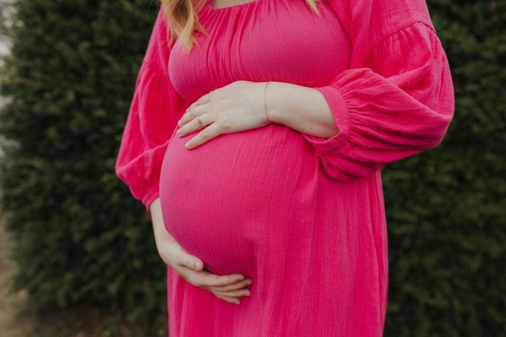 Eliza Maternity and Nursing Dress - Pink