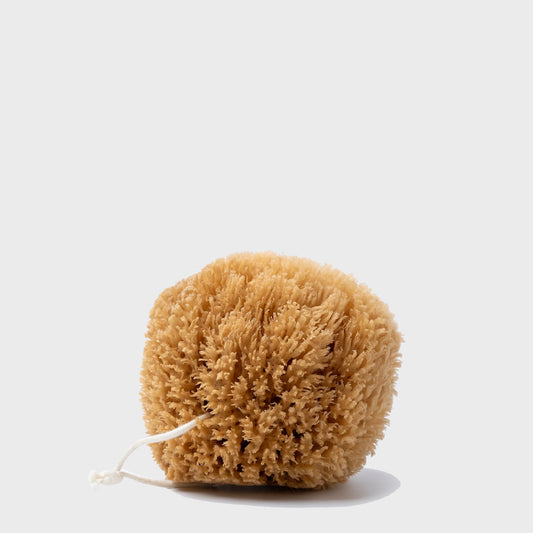 Exfoliating Grass Sea Sponge