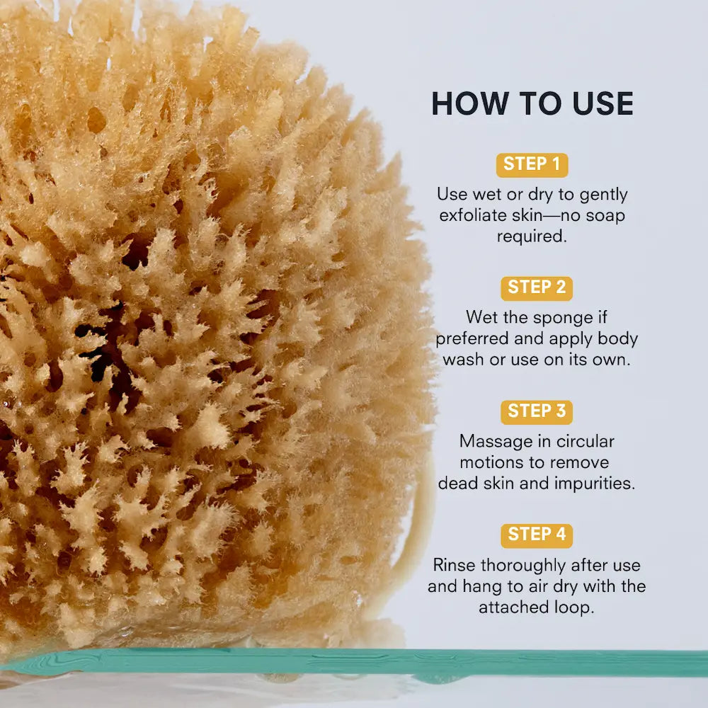 Exfoliating Grass Sea Sponge