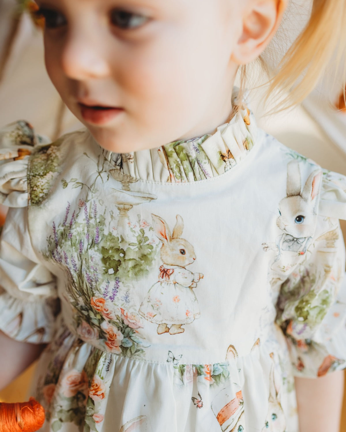 Aoki Dress-Bramble Rabbit Short Sleeve