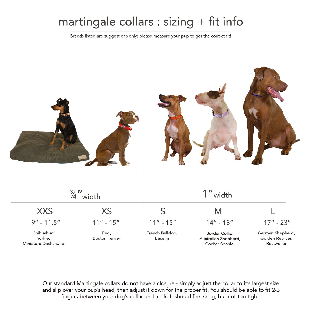 Martingale Dog Collar – Leopard / Peach